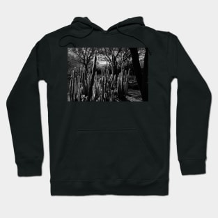 Goal Post Opuntia Hoodie